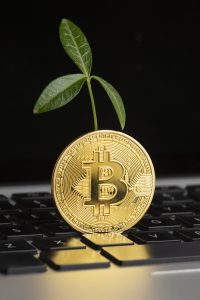 Buy verified Binance Account